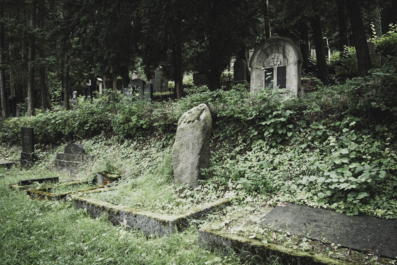 Bleicherode, Jüdischer Friedhof